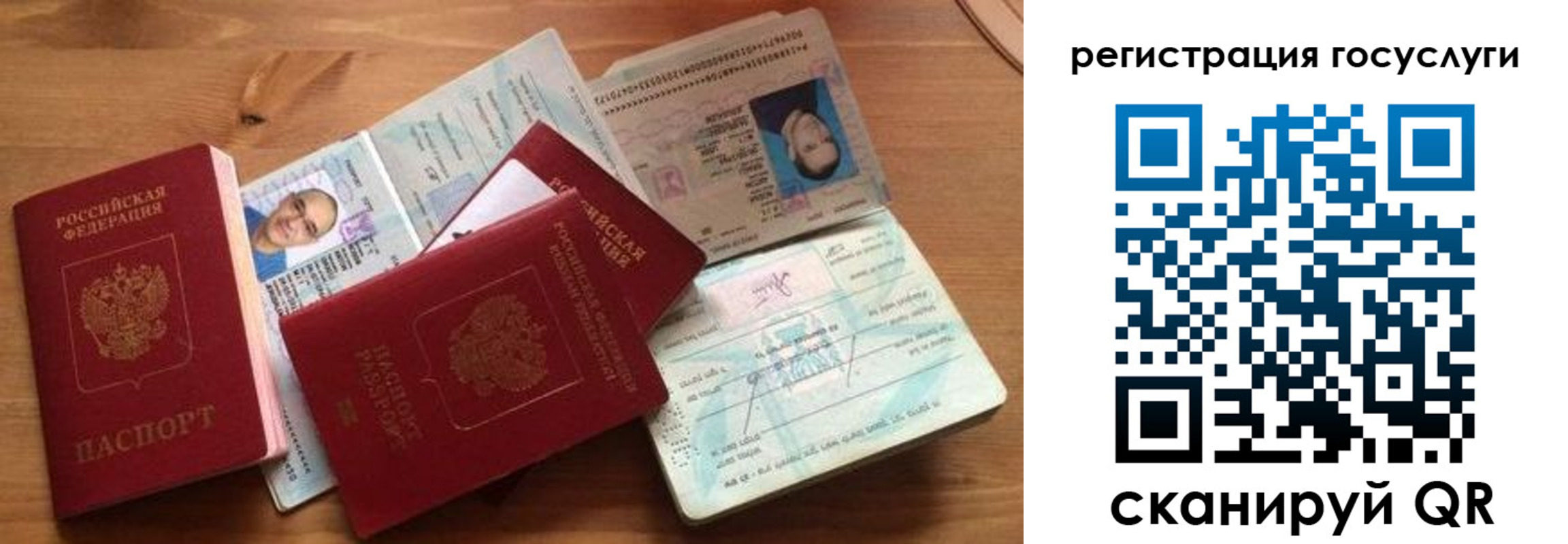 прописка законно в Оленегорске